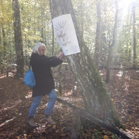 Freilassung fünf Bilder im Fürstbischhöflichen Wald, Tiergarten, Münster Wolbeck. 24.10.2021